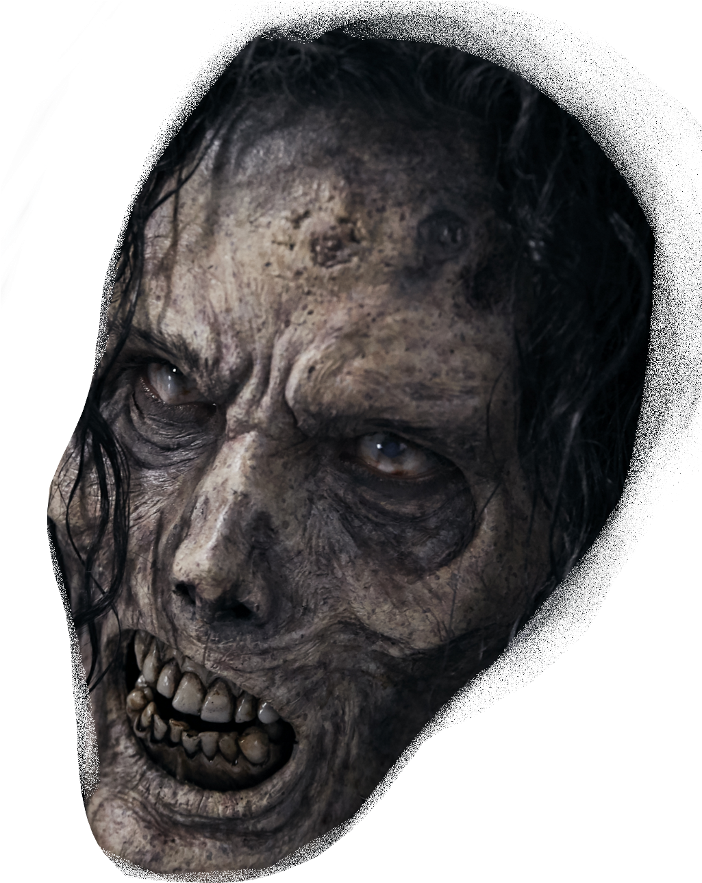 Report Abuse - Head (1024x1306), Png Download