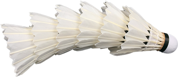 Wholesale Dna Flypower Badminton Shuttlecock - Badminton (700x700), Png Download