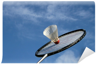 Badminton Racket And Shuttlecock Wall Mural • Pixers® - Badminton (400x400), Png Download