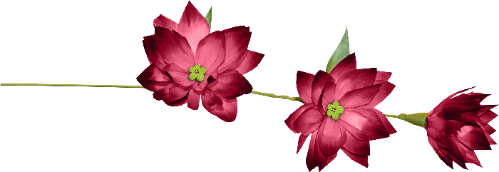 Volver - Lazos Y Cintas Png (700x241), Png Download