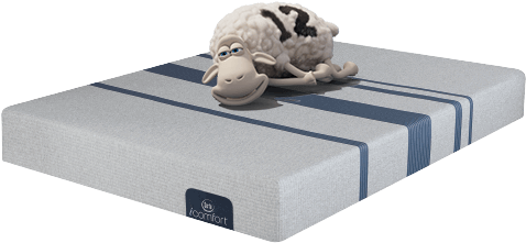 Icomfort Memory Foam Mattress With Sheep - Icomfort 100 9.75" Firm Gel Memory Foam Mattress Serta (500x326), Png Download