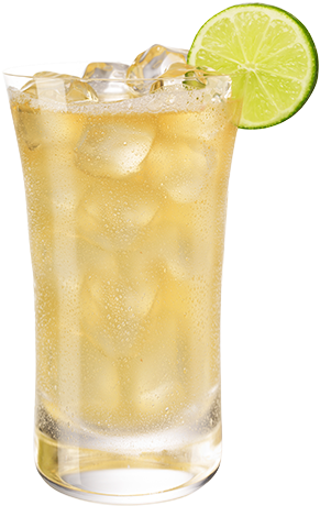 Add Ingredients To A Tall Glass With Ice And Stir Well - Ginger (500x500), Png Download