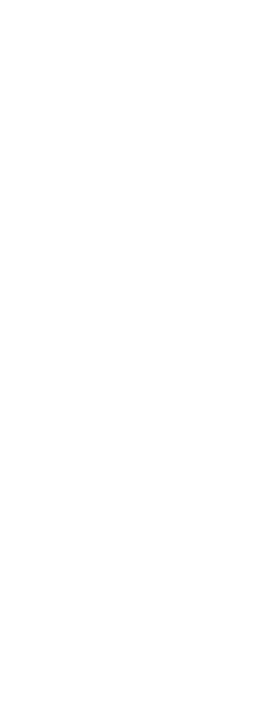 White Paws White Paws - Leinster Rugby Logo White (272x715), Png Download