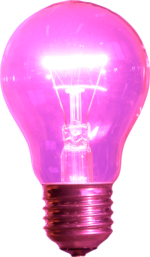Pink Light Bulbs Photo - Pink Light Bulb Transparent (500x857), Png Download