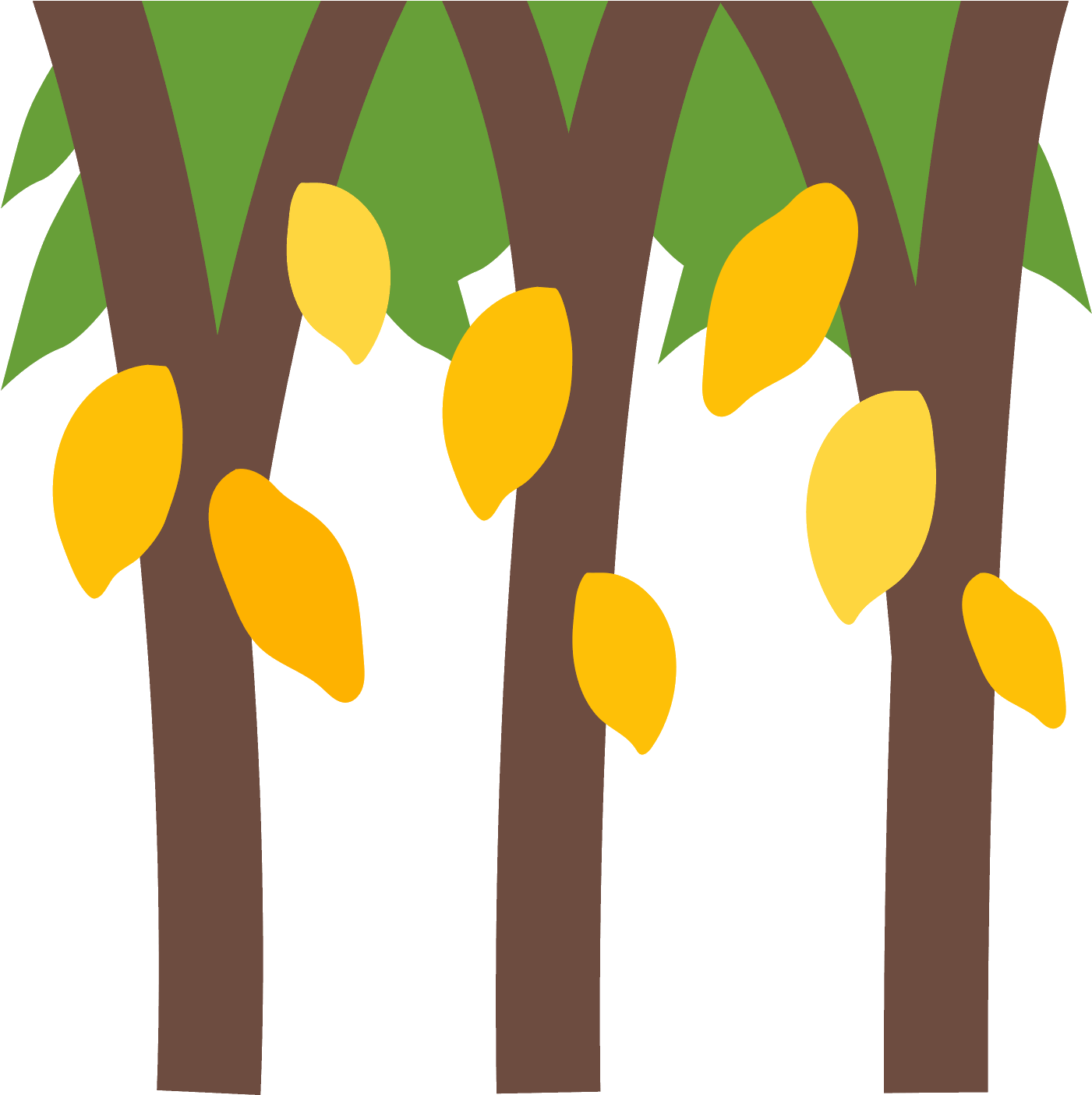Fruit Tree Icon - Icon (1600x1600), Png Download