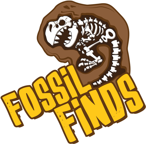 Stegosaurus, Triceratops, Maybe A T - Portable Network Graphics (500x500), Png Download