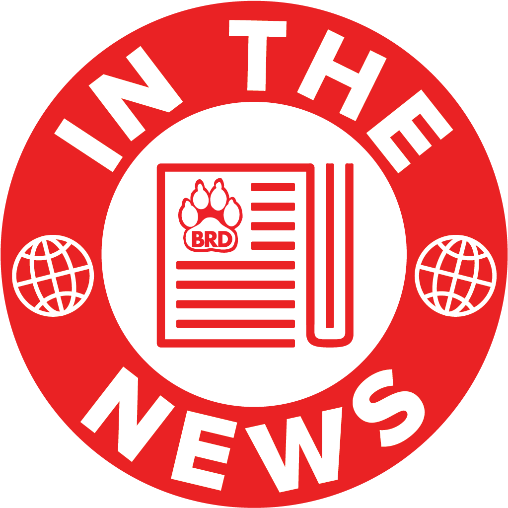 Keep Up With Big Red Dog - Arctic Circle (1042x1042), Png Download