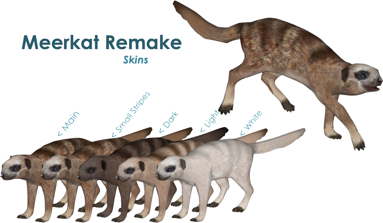 Meerkat Variants - Meerkat Zt2 (1277x754), Png Download
