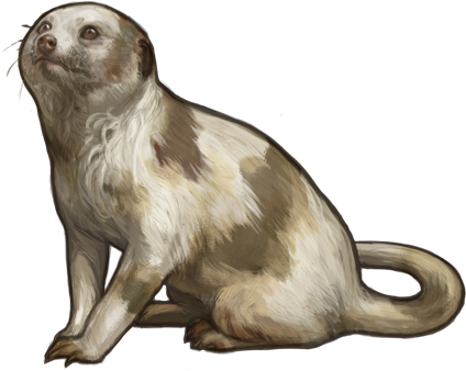 Meerkat 162kb Sep 17 2013 - North American River Otter (482x410), Png Download