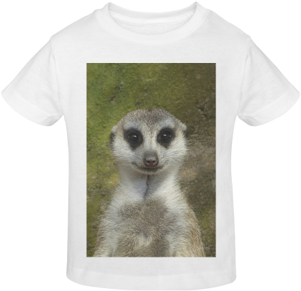 Funny Meerkat 001 Sunny Youth T-shirt - Funny Meerkat (500x500), Png Download