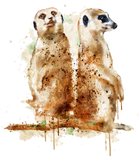 Bleed Area May Not Be Visible - Meerkat Painting (600x600), Png Download