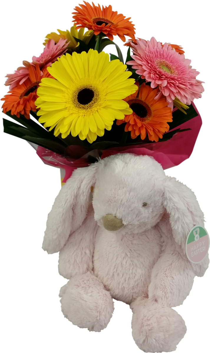 Easter Flowers & Soft Bunny - Barberton Daisy (1050x1200), Png Download