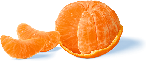 Products - Moodboard Filler (562x238), Png Download