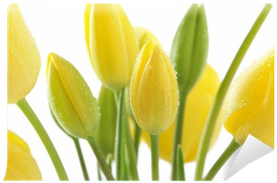 Beauty, Bouqet, Easter, Flowers, Petals, Tulips, Yellow - Tulip (400x400), Png Download