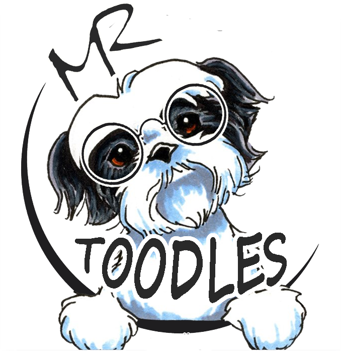 Mr Toodles - Black And White Shih Tzu Cartoon (842x934), Png Download