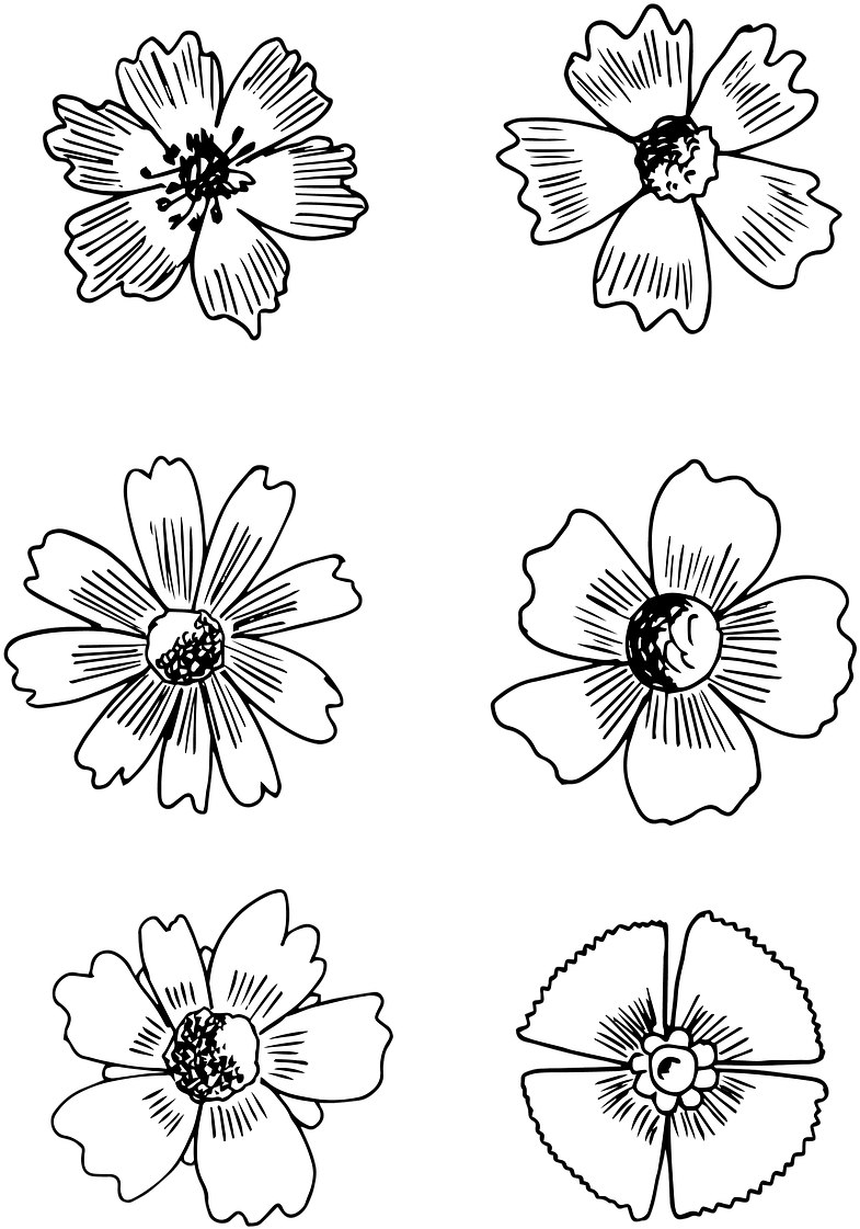 And White,isolated,filigree, - Drawing (930x1280), Png Download