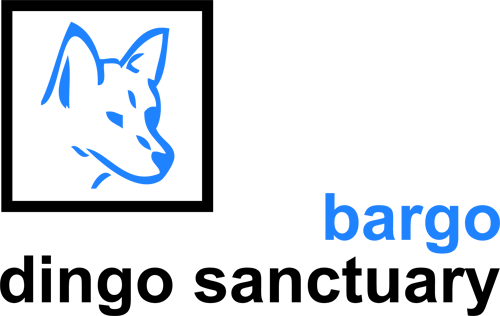 Dingo Sanctuary Bargo - Toshiba Logo White Png (500x316), Png Download