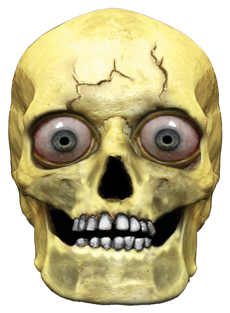 Giant Head Mask - Head Skull Png (496x650), Png Download