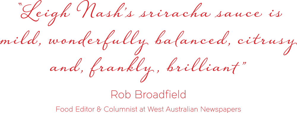 Dingo Sauce Co - Weil Du Mich Liebst: Roman (1000x382), Png Download