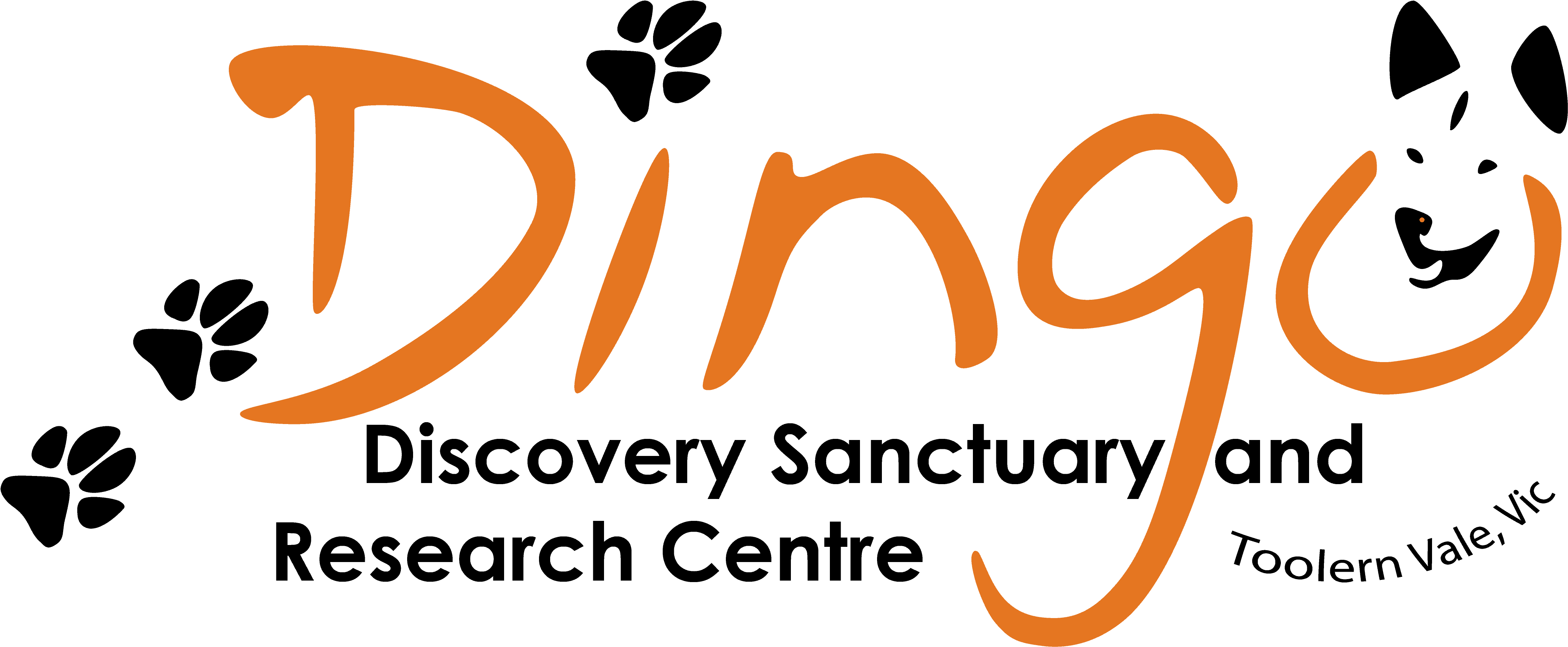 Dingo Discovery And Research Centre - Dingo (4745x2082), Png Download