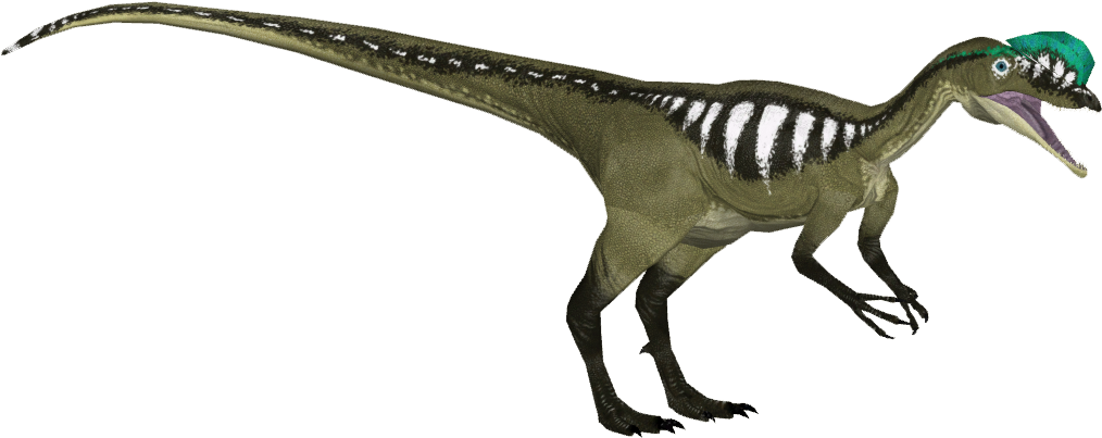 Dilophosaurus - Zt2 Download Library Wiki Dinosaurs (1013x1013), Png Download
