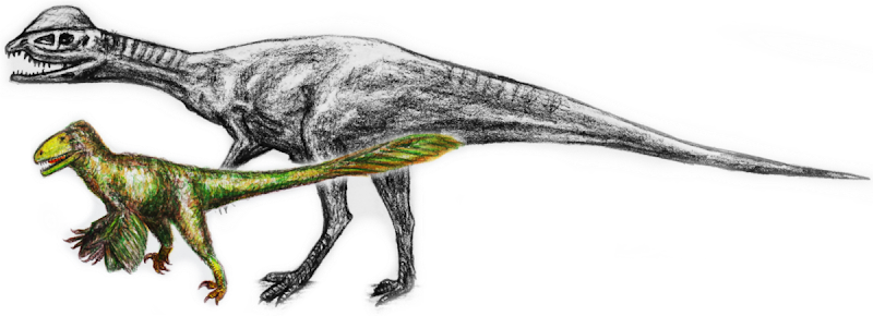 Dilophosaurus - 6m - Dilophosaurus (800x290), Png Download