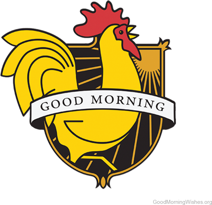 Lovely Pic Of Good Morning Logo - Good Morning Logo (768x768), Png Download