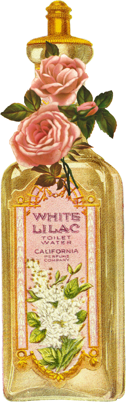 Vintage Perfume Bottle Image Downloads - Perfume Bottle Vintage (712x1600), Png Download