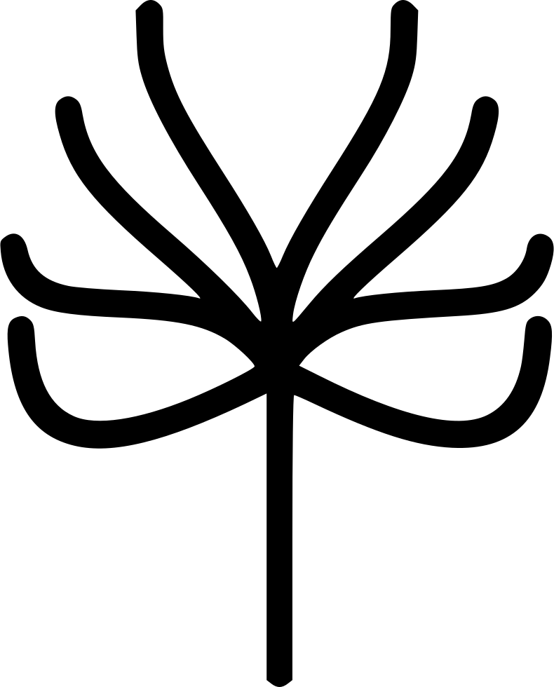 Tree With No Leaves - Tree (790x980), Png Download