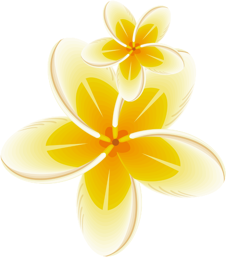 Yellow Frame Bloom Flower Border Flowers White Bouquet - Flower (1024x1024), Png Download