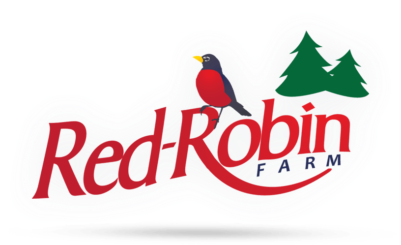 Red Robin Farm Png Logo - Christmas Tree (988x554), Png Download