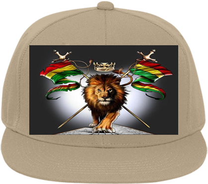 Flat Bill Fitted Hats 123-969 - Baseball Cap (433x402), Png Download