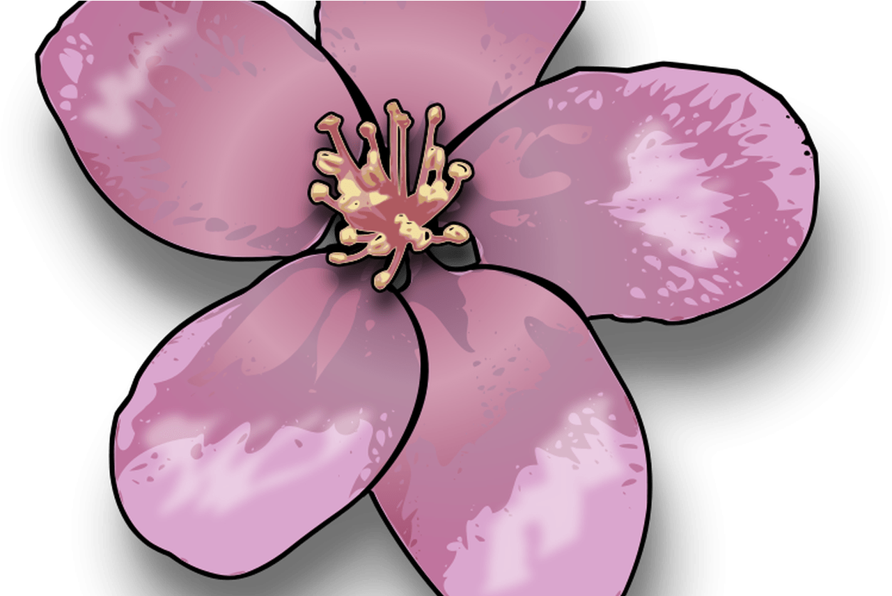 Free Cartoon Cherry Blossom Tree, Download Free Clip - Clip Art (1368x855), Png Download