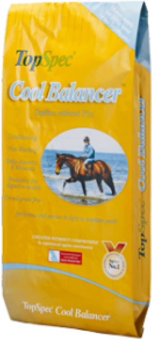 Kofun Cute Emoji Expression Mini Bonsai Diy Grass Hair - Topspec Cool Balancer 15kg (800x800), Png Download