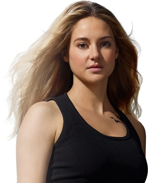 Divergent Tris Png (496x600), Png Download