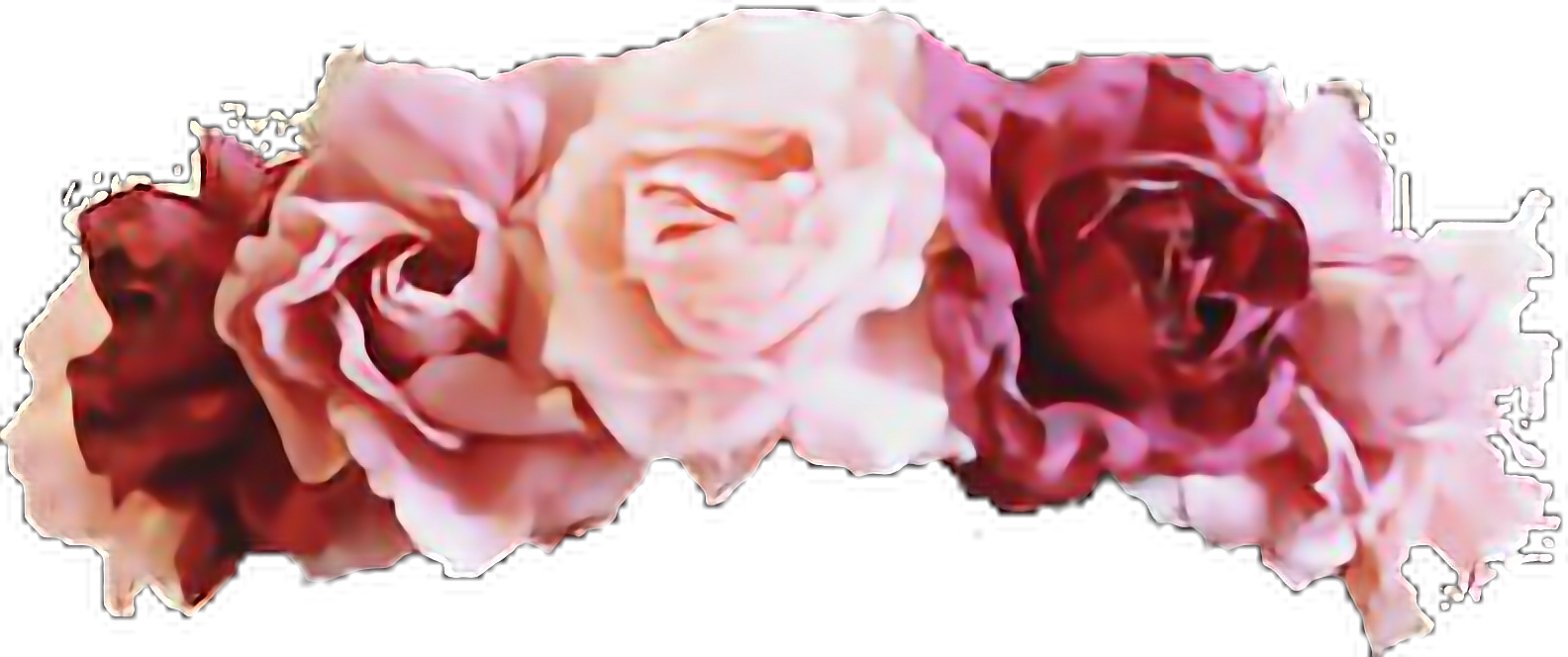 Flower Crown Overlays Picsart - Poop Emoji With Flower Crown (1584x664), Png Download