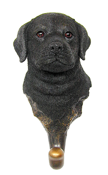 Black Lab Puppy Hook - Labrador Retriever (350x350), Png Download