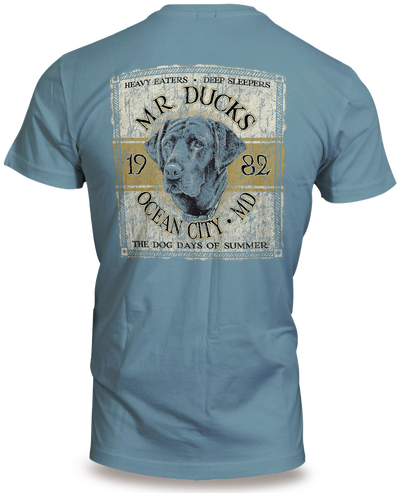 Image - Schitt Creek Paddle T Shirt (500x500), Png Download