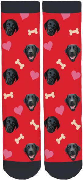 Remi The Black Lab - Sock (285x600), Png Download