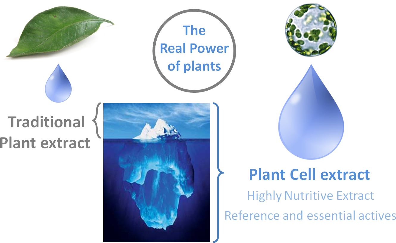 Through A Designed Process Of Cellular Reprogramming, - Advantages Of Plant Stem Cells (1420x816), Png Download