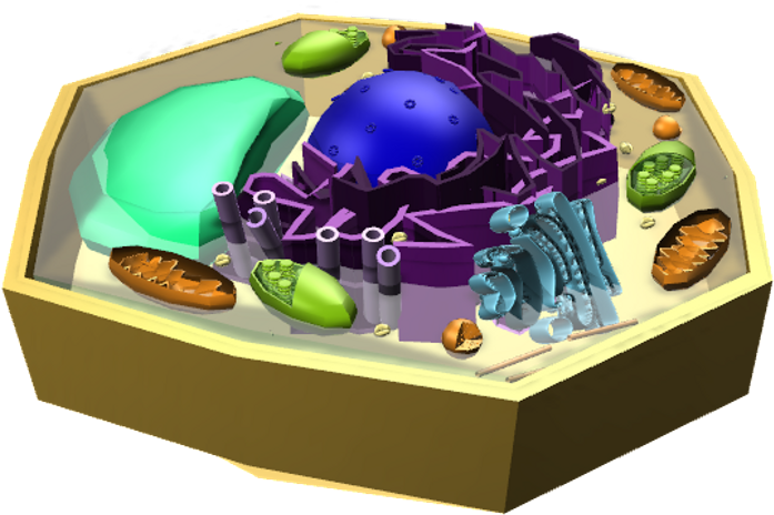 Teenage Mutant Ninja Turtles (1200x630), Png Download