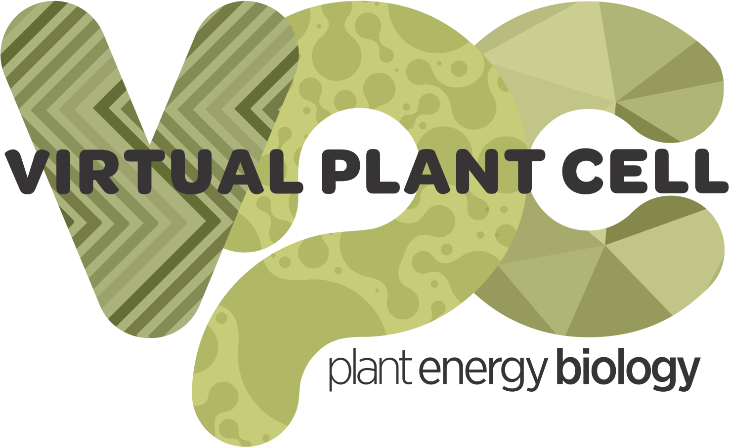 Virtual Plant Cell Is Peb's Expanding Suite Of Educational - Graphic Design (1576x985), Png Download