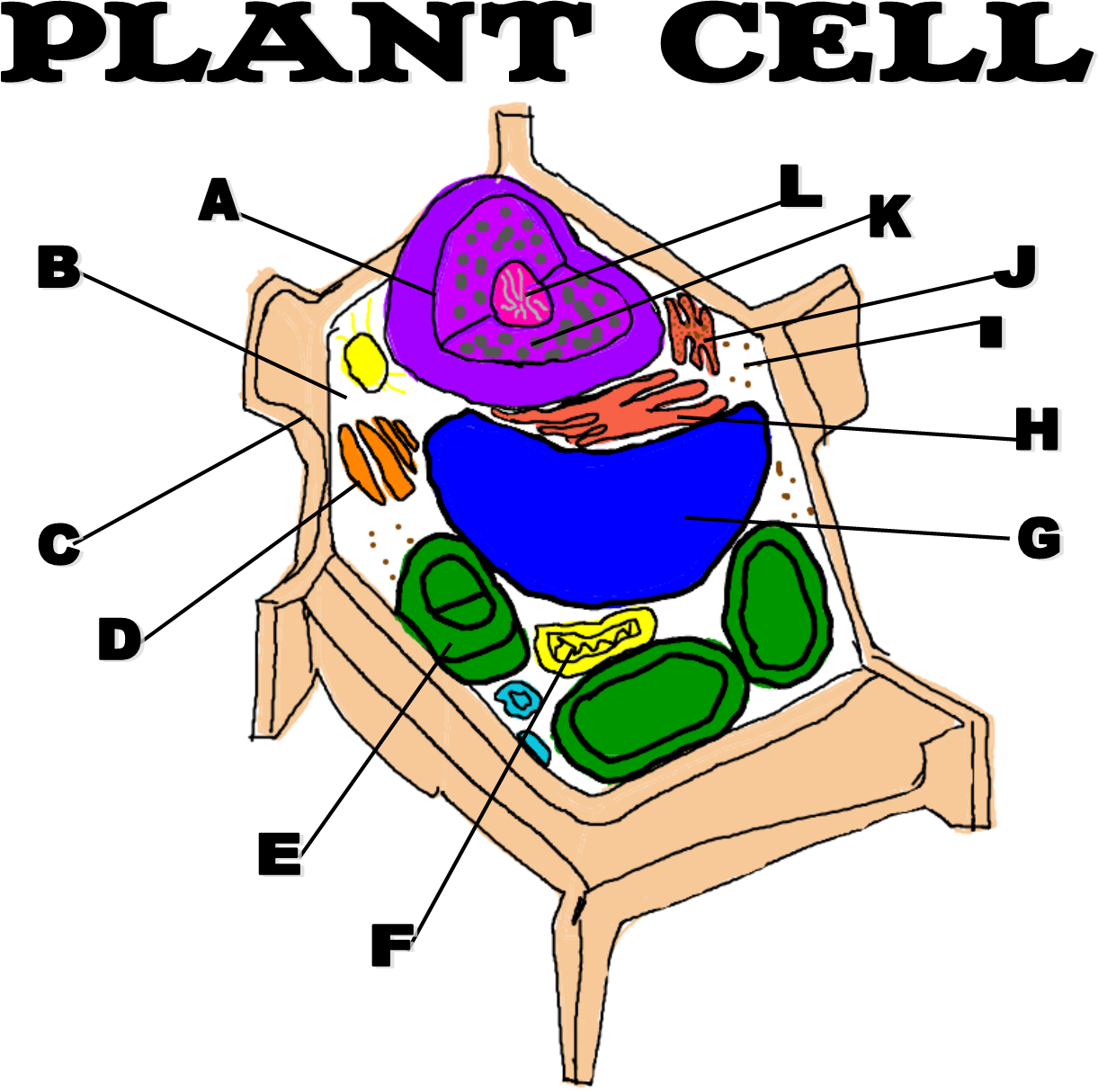 Knowledge (1221x1214), Png Download