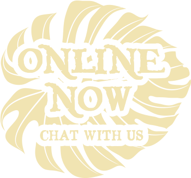 Have Questions Live Chat - Livechat (421x356), Png Download