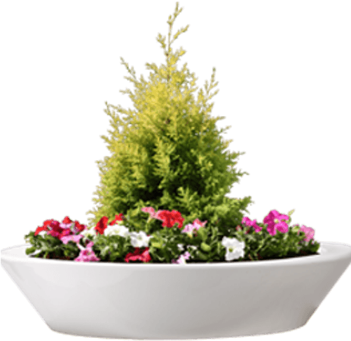 Fiber Glass Planters - Glass (500x500), Png Download
