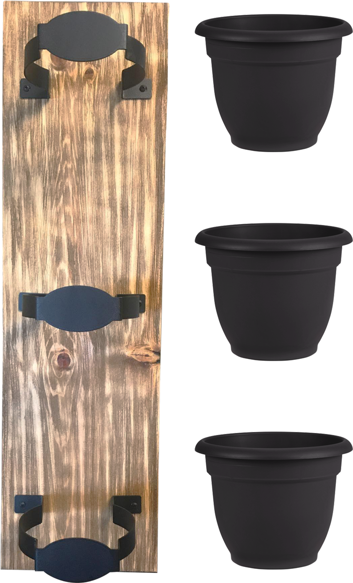 Black - Bloem Living Llc (800x1241), Png Download