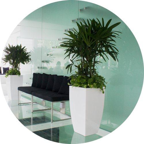 Custom Large Indoor Planters, Size - Maceteros Grandes (500x500), Png Download