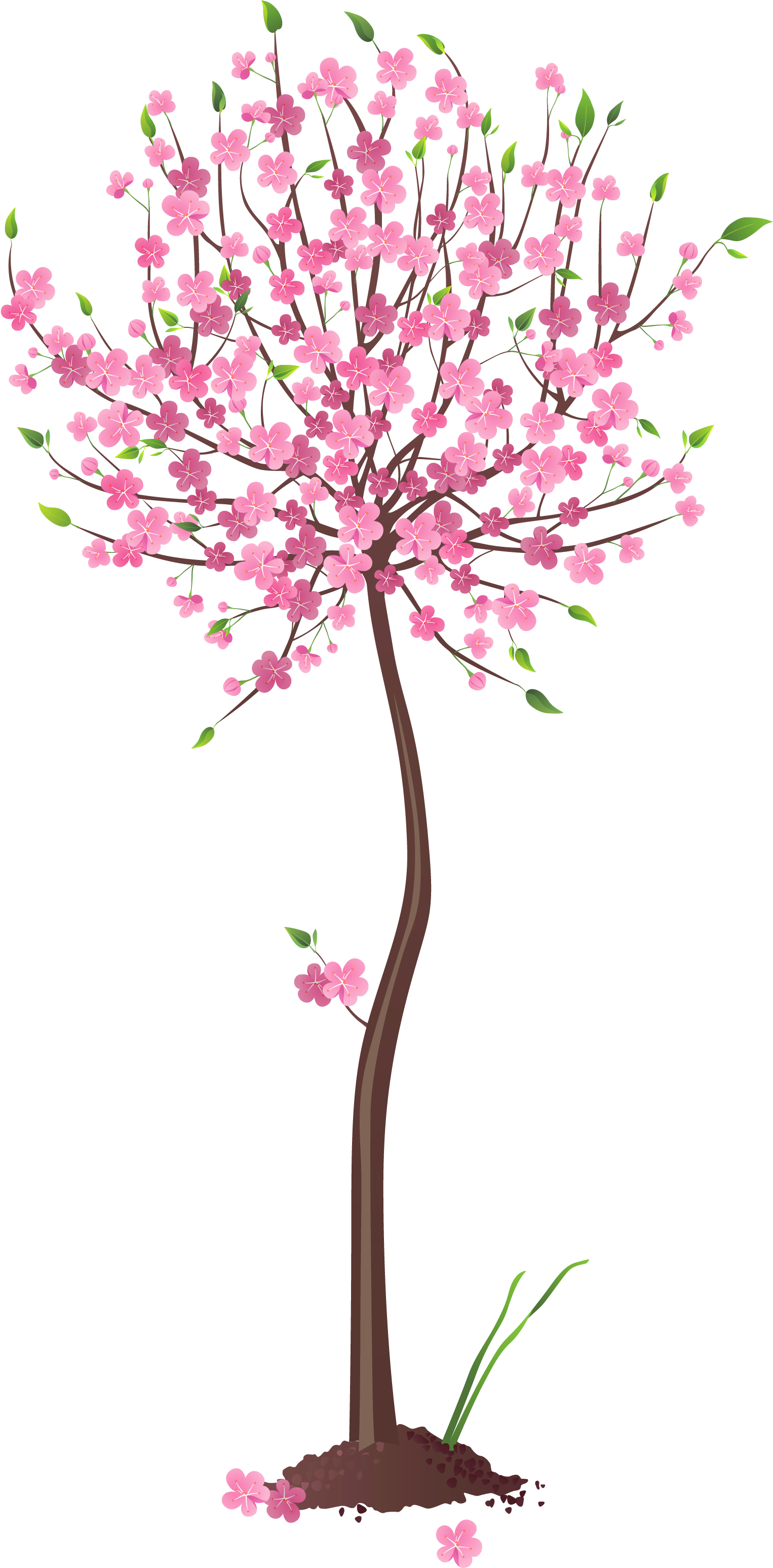 Spring Tree Clipart Png (1858x3289), Png Download