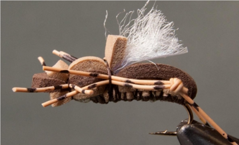 Fat Albert Grasshopper - Fat Albert And The Cosby Kids (800x800), Png Download