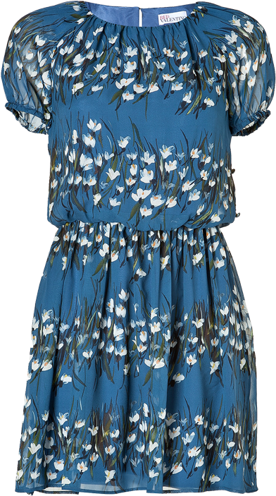 Valentino Red Blue Floral Silk Printed Dress - Red Valentino Röcke In Synthetik (800x800), Png Download